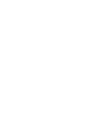 Secure icon